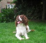 click for a larger view